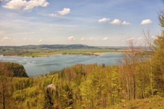 Lake Kochel with mountain forest, Kochel, Upper Bavaria, Bavaria