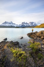 Young man on the shore of the blue lake Lago Pehoe in the evening light, Cuernos del Paine mountain
