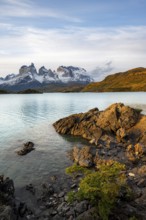Shore of the blue lake Lago Pehoe in the evening light, Cuernos del Paine mountain range, Torres