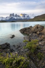 Cuernos del Paine mountain range at sunset, shore of the blue lake Lago Pehoe, Torres del Paine