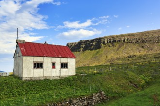 Simple stone house with garden in front of cliffs, Latrabjarg headland, Westfjords, Iceland