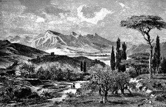 Mid-mountain landscape of the Apennines near Perugia, alpine mountain system, cypresses, olive