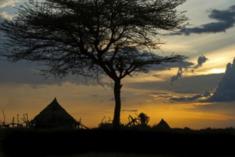 Silhouette of conical huts of the Hamer ethnic group against a dramatic sunset sky, Southern Omo
