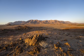 Desert landscape with Brandberg in the morning light, at sunrise, Erongo, Damaraland, Namibia