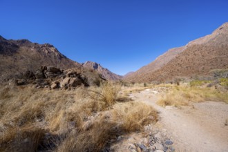 Tsisab Gorge, White Lady Trail, desert landscape, Brandberg, Erongo, Damaraland, Namibia