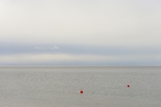 North Sea, red buoys in the Wadden Sea, Norddeich, Lower Saxony, Germany