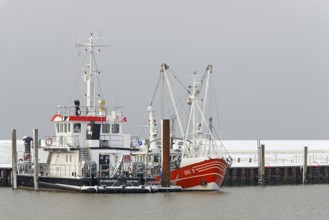 Winter day, onset of winter, ships in the harbour, North Sea, Norddeich, Lower Saxony, Germany
