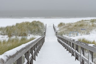 Winter day, onset of winter, wooden plank path leads through the snow-covered dune landscape to the