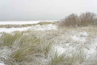 Winter day, onset of winter, snow-covered dune landscape of Norddeich, North Sea, Lower Saxony,