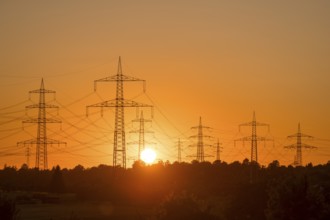 Clearly defined silhouettes of power lines in the golden light of sunset, Waiblingen,