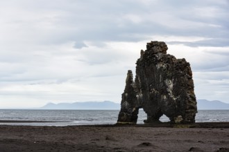 Basalt rock Hvitserkur, famous Elephant Rock on the lava beach, coastline, Vatnsnes peninsula,