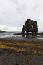 Tourists at the basalt rock Hvitserkur, famous Elephant Rock on the lava beach, coastline, Vatnsnes