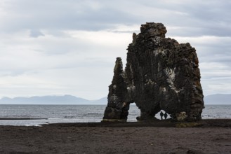 Tourists, couple at the basalt rock Hvitserkur, famous Elephant Rock at the lava beach, coastline,