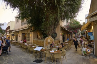 Ifestou Alley, A cosy alleyway café in a narrow alley under a large tree, Kos Town, Kos,