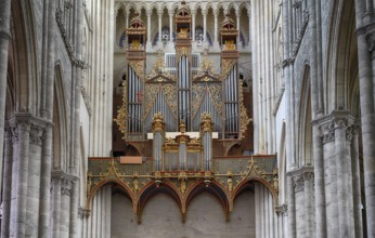 Interior view, west gallery, main organ, Cathédrale Notre-Dame d'Amiens, Amiens, Somme, France