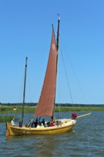 Zeesenboot sailing on the Achterwasser near Krummin, Usedom Island, Mecklenburg-Vorpommern, Germany