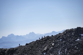 Hikers against the light on a ridge, Stubai Alps, South Tyrol, Italy