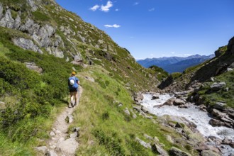 Hiker by a stream, Stubai Alps, South Tyrol, Italy