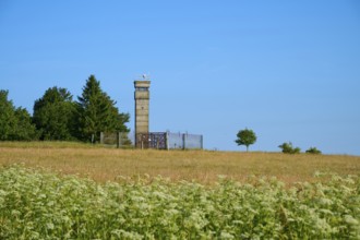 Meadow with an isolated watchtower of the former inner-German border next to a green tree and