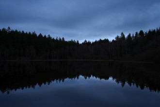 A quiet night scene with dark forest and reflection in the still water of a lake, Mülbenersee,