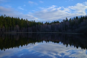A lively lake with a clear reflection of the blue sky and clouds, surrounded by a forest,