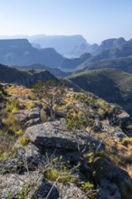 View of the Blyde River gorge, Lowveld Viewpoint, in the evening light, canyon landscape, Blyde
