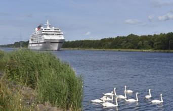 MS EUROPA, cruise ship EUROPA sailing in the Kiel Canal, NOK, Kiel Canal, Kielkanal,