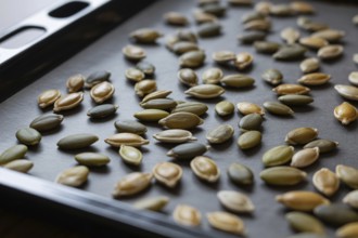 Close up of pumpkin seeds spread on baking tray. Ready for roasting as a healthy snack or cooking