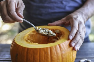 Hand scooping pumpkin seeds from a fresh pumpkin in the kitchen. Preparing pumpkin seeds for