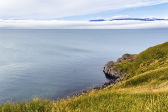 Coastline with basalt columns near Hofsos, Skagafjördur fjord, Tröllaskagi peninsula, North