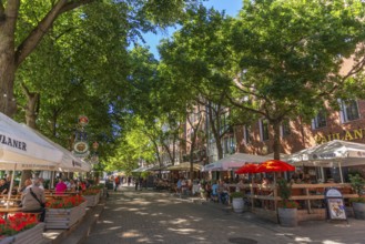 The Schlachte, historic riverside promenade along the Weser with restaurants and cafés in the shade