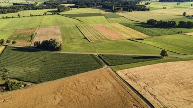 Aerial view of grain fields west of Augsburg, Bavaria, Germany
