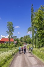 Group of hikers walking on a gravel road by a farm in the countryside a sunny summer day with a