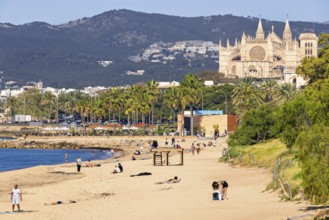 View at Palma Cathedral from a sand beach with sunbathing people by the mediterranean sea and the
