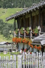 Colourful floral decorations at a rustic alpine hut, Ridnauntal, South Tyrol, Italy