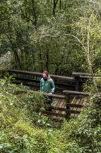 Young woman on wooden path through dense forest, Graskop Gorge or Graskopkloof, Graskop,