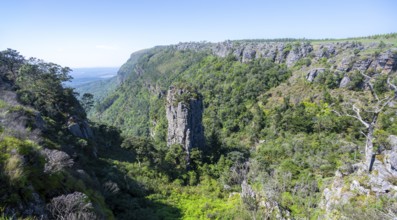 Rock needle in a densely forested canyon, Pinnacle Rock, view over canyon landscape, near Graskop,