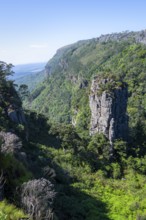 Rock needle in a densely forested canyon, Pinnacle Rock, view over canyon landscape, near Graskop,