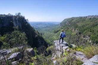 Young woman standing on a rocky outcrop, view over densely forested canyon, Pinnacle Rock, near
