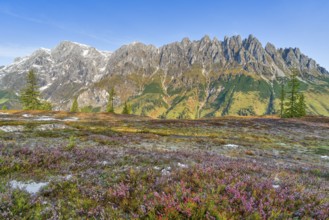 Autumn on the Hochkeil, Mandelwand, Hochkönig, Berchtesgaden Alps, Mühlbach am Hochkönig, Pongau,
