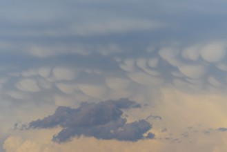 Unusual cloud structures create captivating shapes against a backdrop of warm colours as the sun