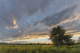 A brilliant sunset illuminates a peaceful field and highlights the vibrant colours in the sky.
