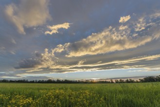 A vivid sunset lights up the sky with shades of orange and yellow, while a lush green field