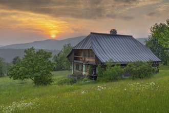 Old farmhouse at sunset, surrounded by a flower meadow, Waldhäuser, Bavaria, Germany