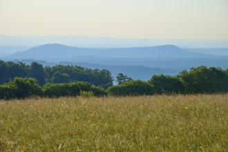 Wide meadow landscape with wooded hills and detailed horizon under a clear sky, Fladungen,