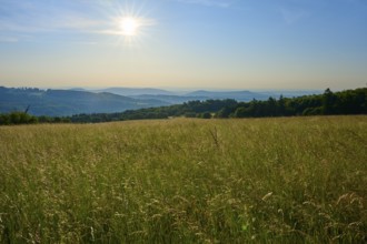 Sunrise over a vast field with rolling hills and blue streaks of sky, Fladungen, Frankenheim, Hohe