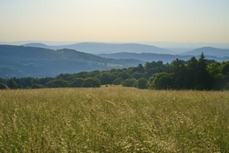 Wide landscape with undulating meadows and wooded hills in the background under a clear sky,