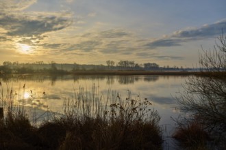 Atmospheric lake landscape at sunrise, calm water with reflections and reeds in the foreground,