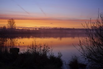 Vivid morning light at sunrise over a quiet lake, Reinheimer Teich, Reinheim, Hesse, Germany