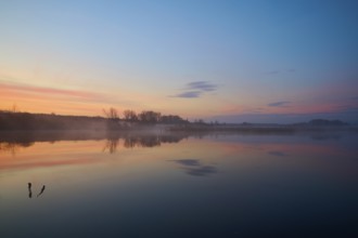 Calm lake at sunrise with soft colours and clear reflections, Reinheimer Teich, Reinheim, Hesse,
